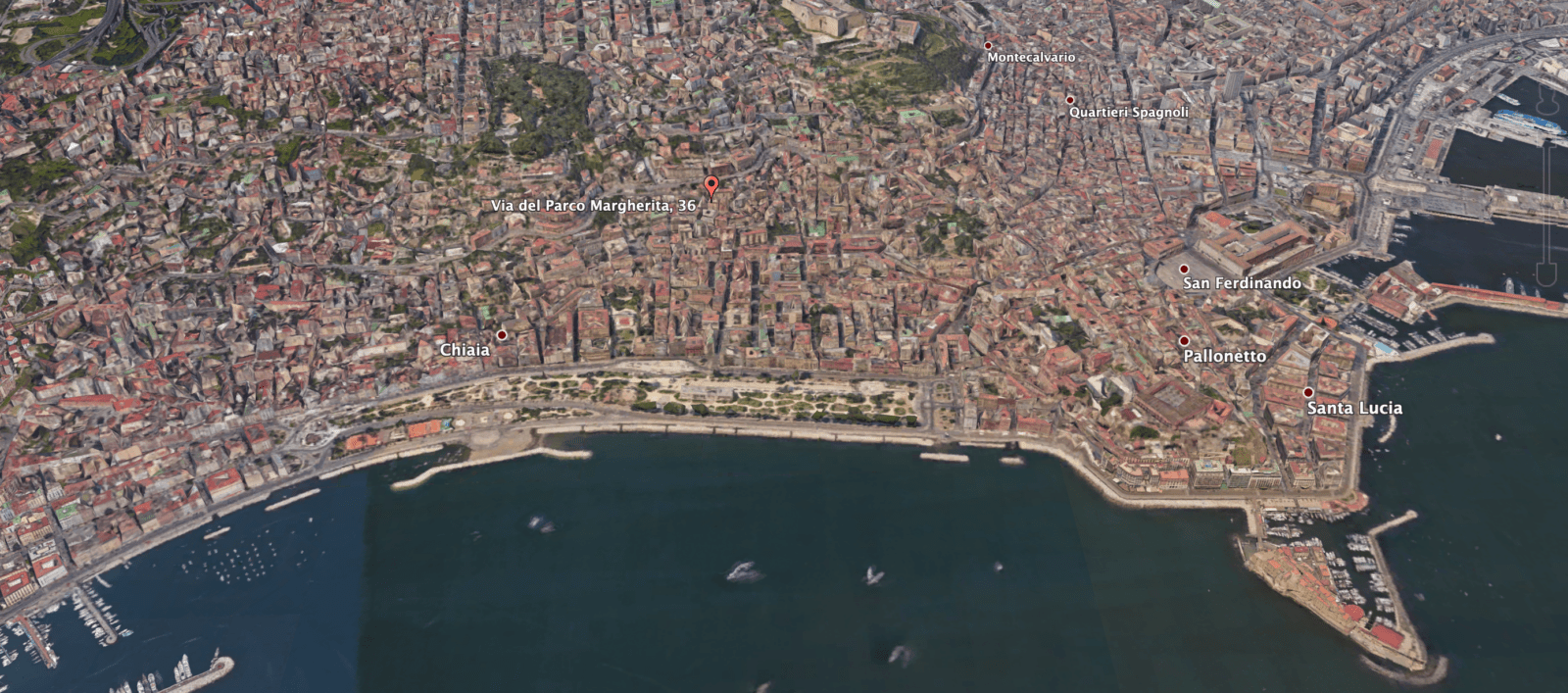 Image Alt